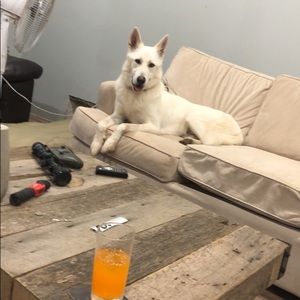 Meet your Posher, John